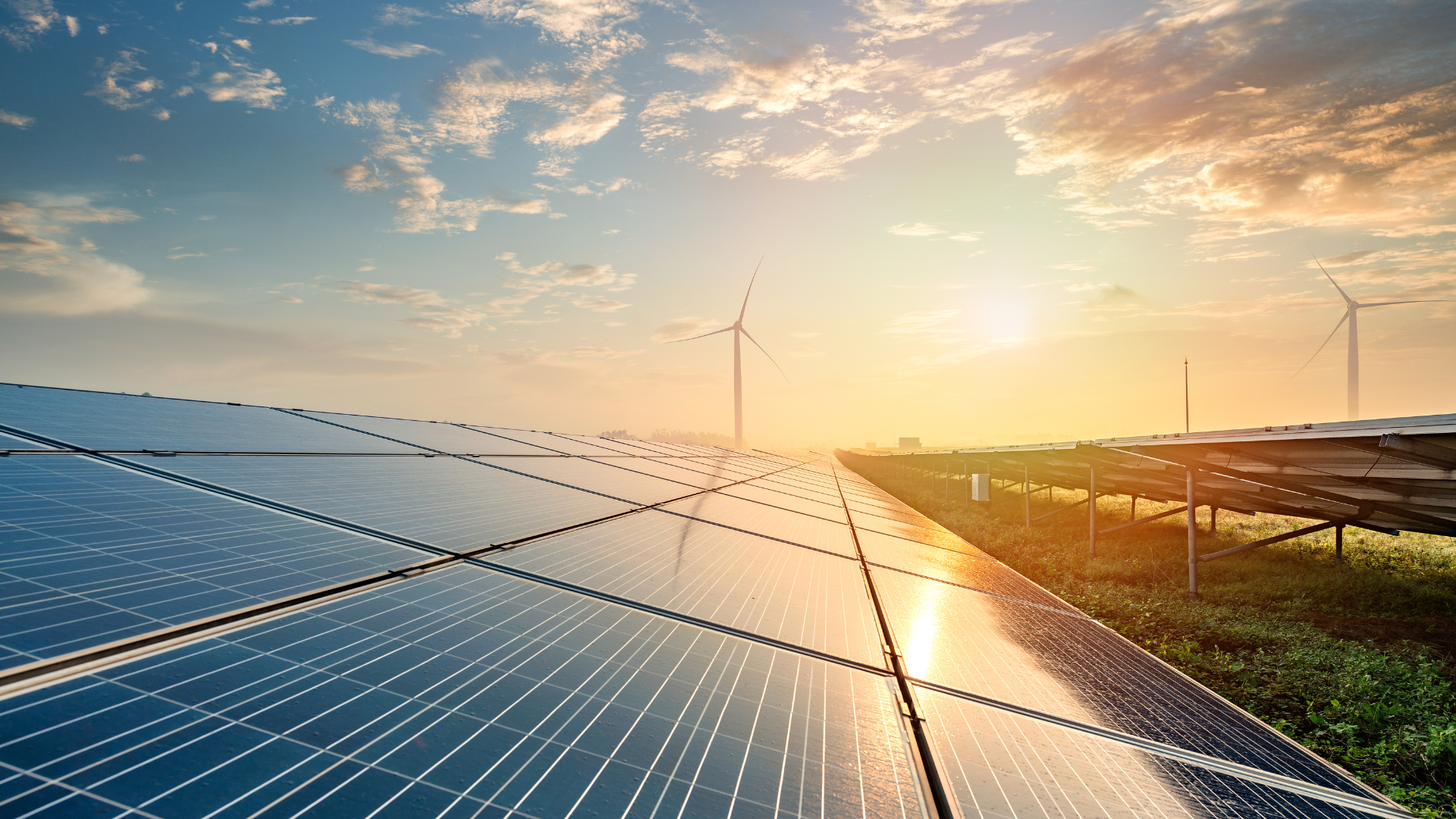 The Complete Guide to Solar Panels Cost in Townsville